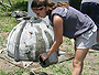 A Booker High School (Sarasota) Environmental Science Academy student pours concrete into a fiberglass reef ball mold.