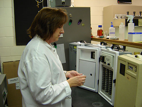 Dawn Rebarchik of the Gulf Coast Research Laboratory of Ocean Springs - photo 3
