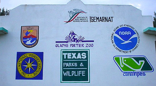 Logos at Camp