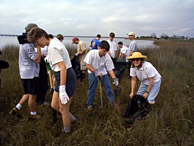 MSU landscape architecture students harvesting native emergent salt water grasses for use on the natural beach landscape.  The plants were being harvested from a site that will be developed.