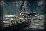 Loading logs on truck for transporting to milling plant,