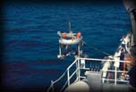 Remotely operated vehicle (ROV)