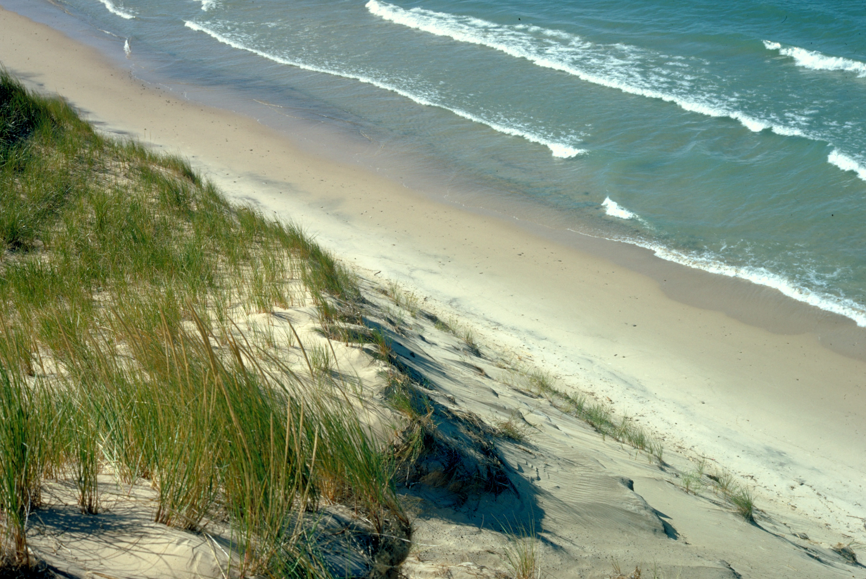 Image result for indiana dunes state park site:.gov