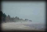Sand blowing on beach near Oscoda, Lake Huron, Michigan