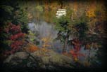 Fitzgerald Park - Grand River in splendid fall color