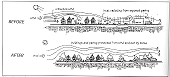 diagram showing planting of vegetation improve climatological conditions