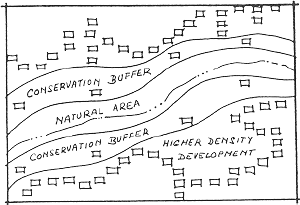 diagram showing conservation buffers can help protect wildlife habitat in a development