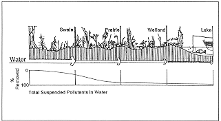 diagram showing drainage of a site through a natural system, rather than through storm sewers, dramatically reduced pollution levels