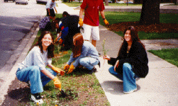 Students at Amundsen High School participates in landscaping project