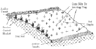 A diagram showing the schematic of a typical vegetative stabilization installation