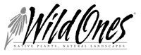 Wild Ones logo
