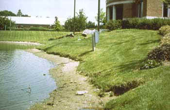 photo showing how difficult it is to maintain conventional landscaping
