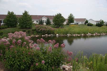 Native Plants on the Pond