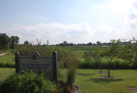 View towards the wetland