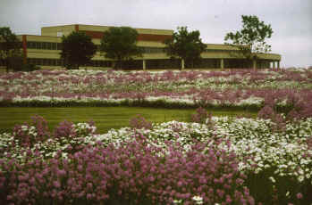 photo: AT&T Corporate Campuses, Network Software Division, Lisle, Illinois