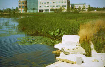 photo: Prairie Stone Business Park, Hoffman Estates, Illinois