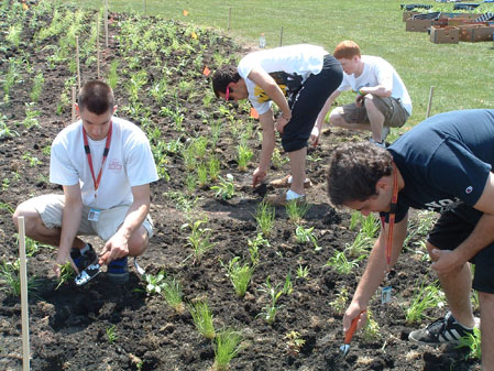 Volunteers Installing Native Plants