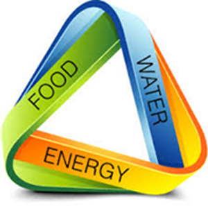Illustration of interlocking rings of food, water, and energy.