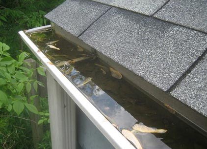 Clogged gutters provide the standing water that mosquitoes need for egg laying and larval growth