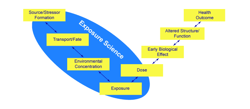 Exposure Science Diagram