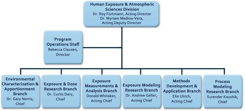 Branches Of Science Chart