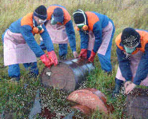 residents lift drum