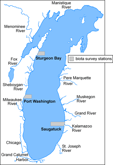 chart of Lake Michigan biota survey stations