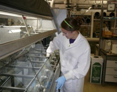 scientist working in lab