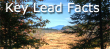 Key Lead Facts