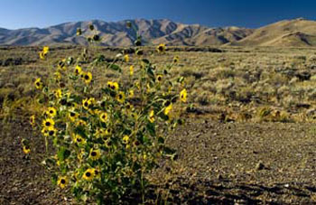 D200Idaho-18