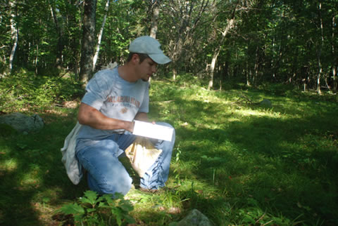 Our Smaller Suite for Smaller Guests