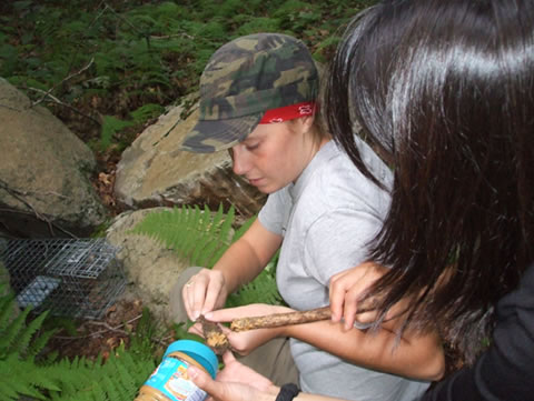 A Tasty Treat of Peanut Butter