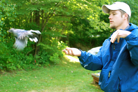 Fly Away Home