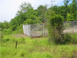Zn-contaminated area at the Indian Head site. Zinc-laden slag and soil have eroded from the hillside into the nearby river sediment.
