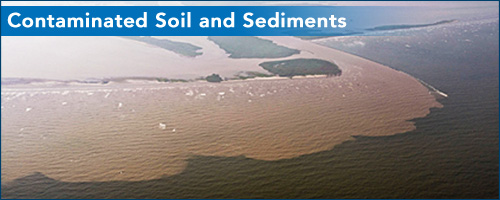 Contaminated Soil and Sediments