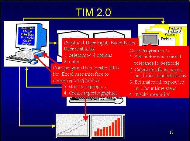 graphic depicting processes of user input, model calculations and graphical outputs
