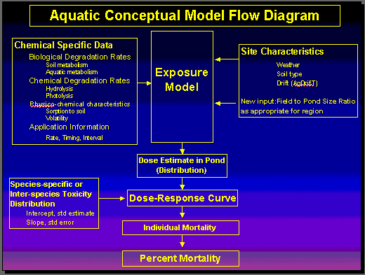 aquatic conceptual model flow diagram