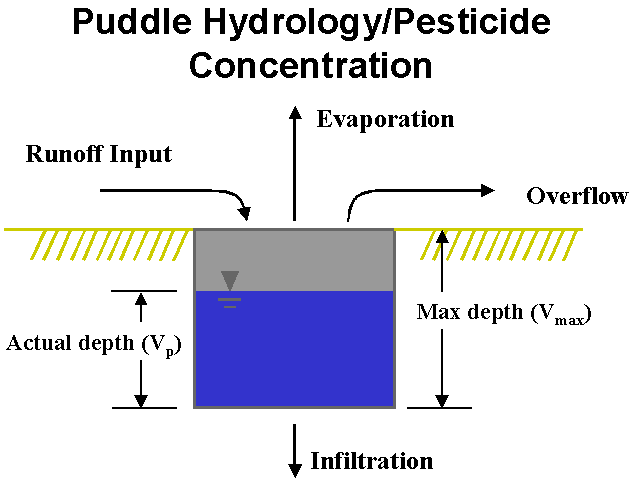 graphic representation of puddle hydrology:  runoff input, evaporation, infiltration, overflow and puddle volume