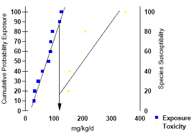 graph of points representing exposure and toxicity with best-line fit.  dual y-axes with one of cumulative probability exposure and the other of species susceptibility; x-axis of mg/kg/d