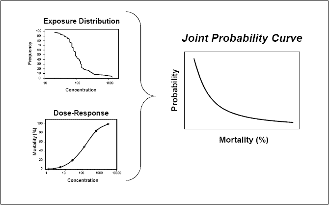 3 graphs: exposure distribution and dose-response which combine to create the third labeled Joint Probability Curve.  Exposure Distribution has y-axis of frequency and x-axis of concentration and a line resembling stairs from upper left to lower right.  Dose-Response has y-axis of mortality (%) and x-axis of concentration and a line curving in a slight S from lower left to upper right.  Joint Probability Curve has y-axis of probability and x-axis of mortality(%) with a gentle U-shaped curve from upper left to lower right.