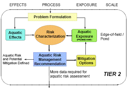 Flow Diagram with 4 columns: Effects, Process, Exposure, and Scale.  Three Rows: 1st Row says Problem Formulation with arrows to 2nd Row entries of Aquatic Effects in Effects and Aquatic Exposure (PRZM/EXAMS) in Exposure.  Each of these points to Risk Characterization in Process which points to 3rd Row entry of Aquatic Risk Management Recommendation in Process with 3 outward arrows, one pointing to Aquatic Risk and Potential Mitigation Defined in Effects, another arrow pointing to Mitigation Options in Exposure (which itself points to Aquatic Exposure in the 2nd row) and a third arrow labeled More data required for aquatic risk assessment pointing to the Tier 3 diagram.  The scale for Tier 2 is labeled Edge-of-field / Pond.