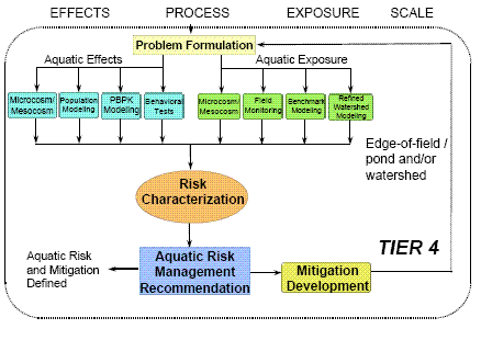 Flow Diagram with 4 columns: Effects, Process, Exposure, and Scale.  Five Rows: 1st Row says Problem Formulation with arrows to 2nd Row entries of Aquatic Effects in Effects and Aquatic Exposure in Exposure.  Each of the 2nd Row entries has 4 arrows pointing to 3rd row entries.  From Aquatic Effects, arrows point to Effects column entries of: microcosm/mesocosm, population modeling, PBPK modeliing, and behavioral tests.  From Aquatic Exposure, arrows point to Exposure column entries of: microcosm/mesocosm, field monitoring, benchmark modeling, and refined watershed modeling.  All of this 3rd Row points to 4th Row entry of Risk Characterization in Process which points to 5th Row entry of Aquatic Risk Management Recommendation in Process with two outward arrows of its own.  One points to Aquatic Risk And Potential Mitigation Defined in Effects; the other points to Mitigation Development in Exposure, which in turn points back to Problem Formulation in Row 1.  The scale for Tier 4 is labeled Edge-of-field / pond / and/or watershed.