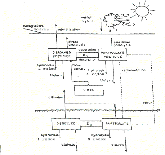 flow chart of EXAMS with inputs and outputs