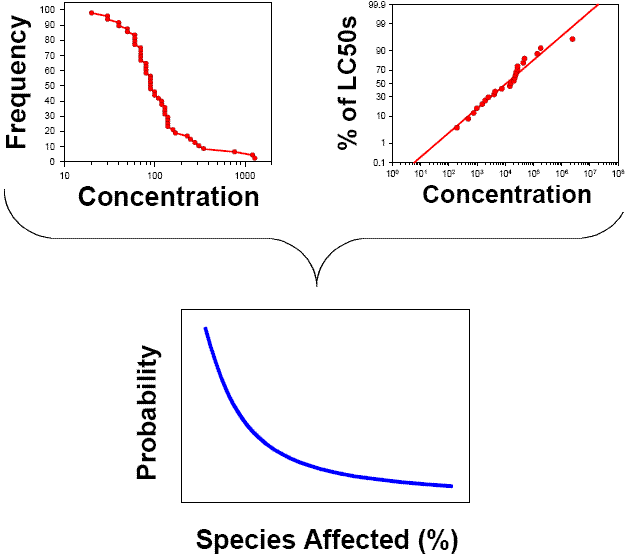 3 graphs: first of connected points with y-axis of frequency and x-axis of concentration; second of best-fit line through points with y-axis of % of LC50s and x-axis of concentration; third a curve with y-axis of probability and x-axis of species affected (%)