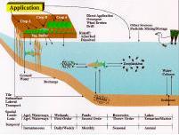 diagram of interactions with agricultural landscape and aquatic ecosystem due to pesticide application