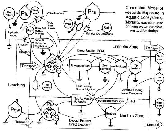 flow diagram of aquatic system and pesticide exposure through the atmosphere, the limnetic zone, and the benthic zone.