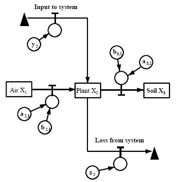 diagram of operational model with input to sytem at the top and loss from system at the bottom and compartments of air, plant, and soil, in the middle.  Arrows showing directional flow connect all of these items.