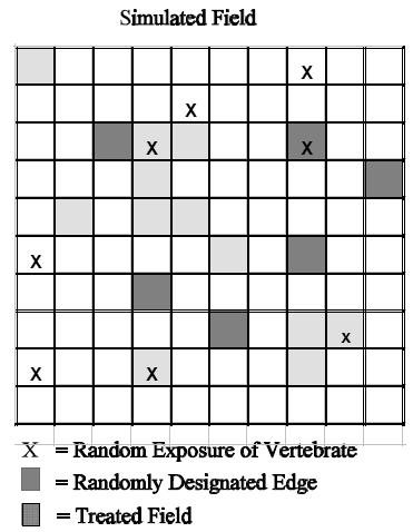 diagram of a grid of a simulated field with shaded boxes indicating randomly designated edge, and treated field.  Also with X in boxes indicating random exposure of vertebrate.