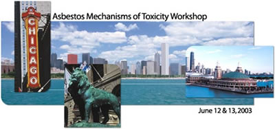 2003 Asbestos Mechanisms of Toxicity Workshop logo