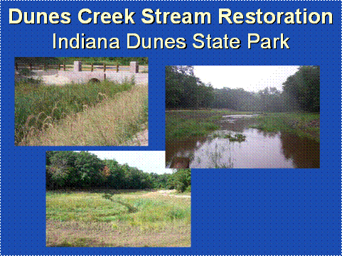 Indiana Dunes State Park Stream Restoration